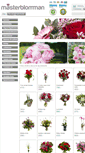 Mobile Screenshot of masterblomman.se